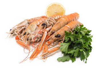 Aragostelle fresche 