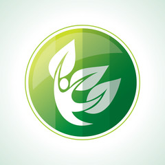 ecology icons with green leaves in vector