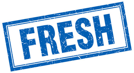 fresh blue square grunge stamp on white