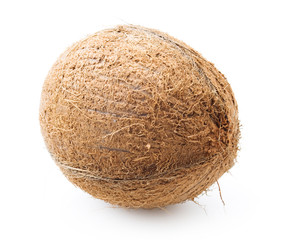 coconut © akamaraqu