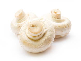 champignon mushroom