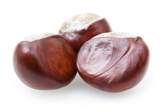 chesnuts