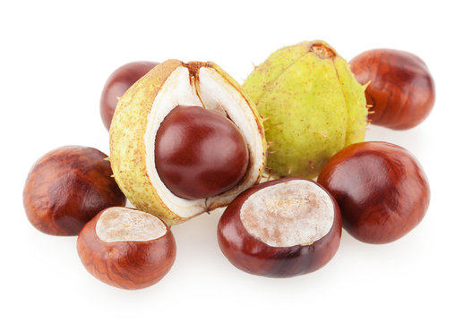 chesnuts