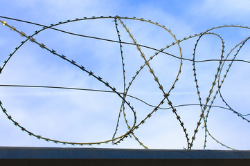 spiral barbed wire. a high fence of barbed wire spiral against the blue sky