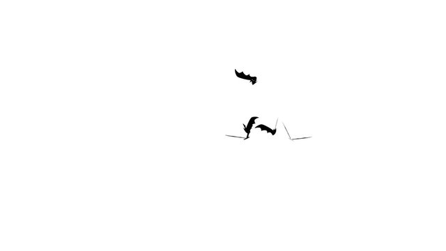 Bats flying isolated on white background