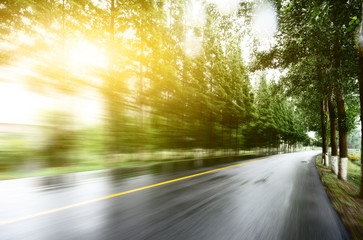 asphalt road with tree lawns under sunshine