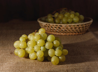 Cluster of grapes on sackcloth
