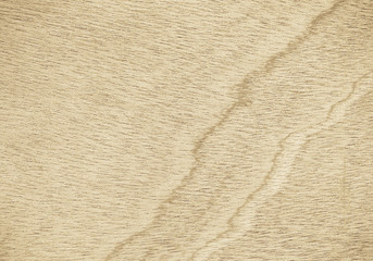 Texture of wood background