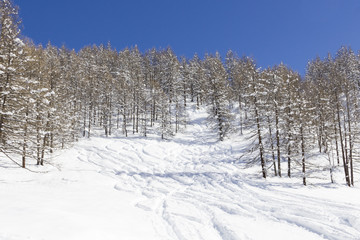 Winter landscape with ski slopes