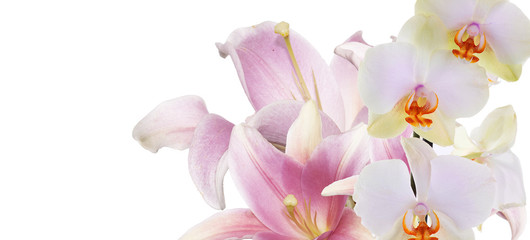 Bouquet lily with orchid on white background