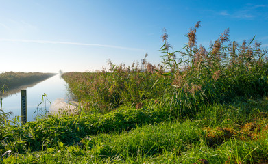 Canal through a sunny hazy landscape in autumn