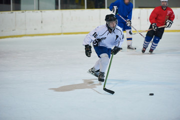 Fototapeta premium ice hockey sport players