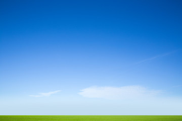 nature background, selective focus
