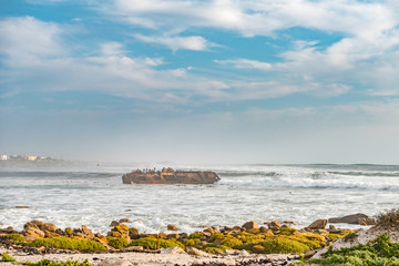 Fototapeta premium Wreck of the Jahleel