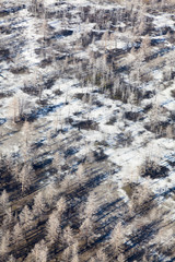 Fototapeta premium burnt forest after a wildfire, top view