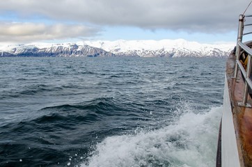 Nordmeer © RS.Foto