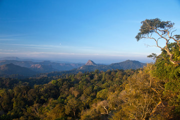 Karadippara View Point,Munnar,Kerala, India