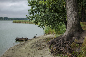 by the river