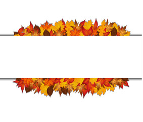 Autumn leaves behind and around blank  rectangle for your text
