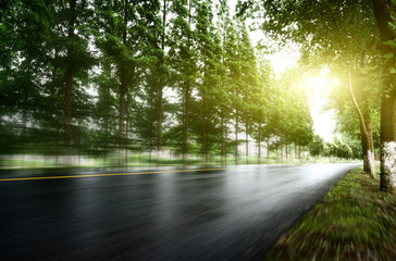 Obraz premium asphalt road with tree lawns under sunshine