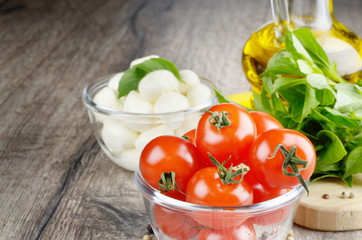 Mozzarella, tomatoes and oil