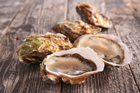 oyster