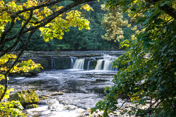 Upper falls at Aysgarth, North Yorkshire.