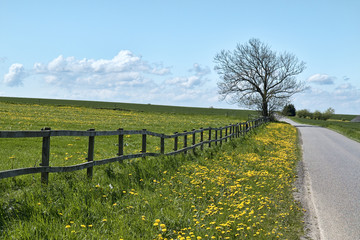 Fototapeta premium Country Road