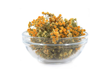tansy