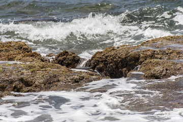 Sea wave hit the rock