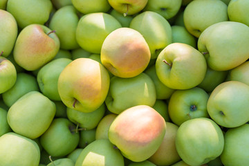 Green apples (Golden Delicious)