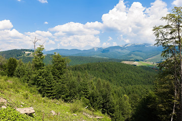 Montenegrin ridge in Carpathians