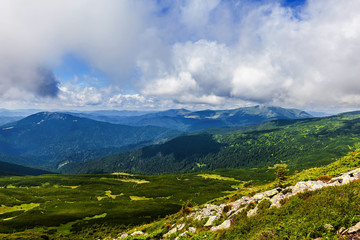 Fototapeta premium summer landscape