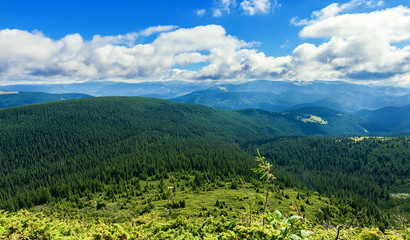 Obraz premium mountain landscape of the Montenegrin ridge in Carpathians