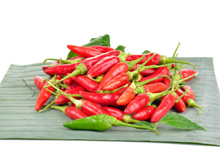 Red hot chili peppers on white background