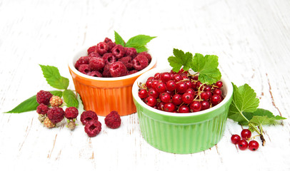 fresh red currant and raspberries