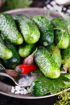 Salted ,pickled cucumbers. Harvesting garlic,salt,herbs and peppers on a black background.selective focus