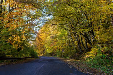 Obraz premium landscape