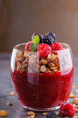 Granola, fresh berries,berry puree and honey.Healthy Breakfast.selective focus