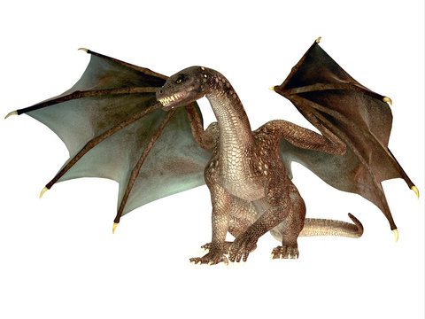 Angry Dragon - The dragon is a legendary creature with reptilian traits and wings featured in myths in many cultures.