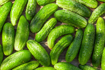 Ripe cucumbers