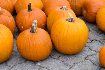 Kürbisse auf Haufen