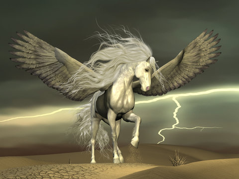 Pegasus and Dark Skies - A white Pegasus horse nervously paws the ground with outstretched wings as a thunderstorm passes by.