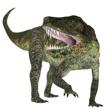 Postosuchus Triassic Reptile - Postosuchus was a cousin of crocodiles and lived as a carnivore in North America during the Triassic Era.