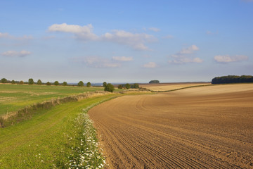 Fototapeta na wymiar scenic harvest landscape