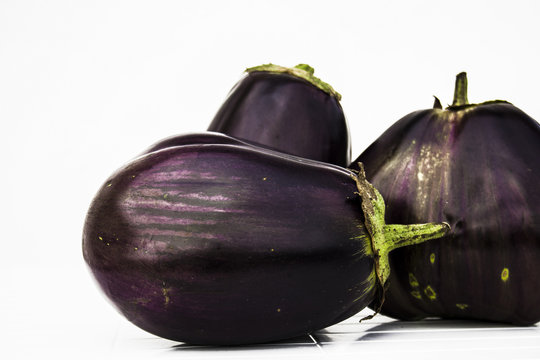 melanzane bio