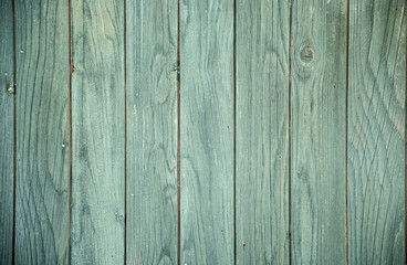 Fototapeta premium Wood texture 