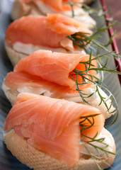 salmon