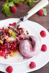 Crumble raspberry, with a scoop of ice cream with mint. selective focus