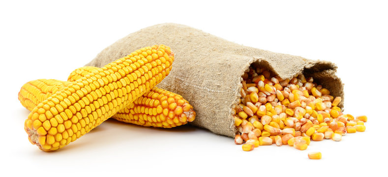 Bag of corn kernels.